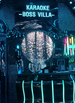 BOSS VILLA 卡拉OK