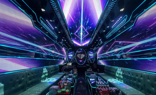 DRAGON PALACE-VIP 1